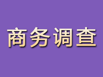 鄂伦春旗商务调查